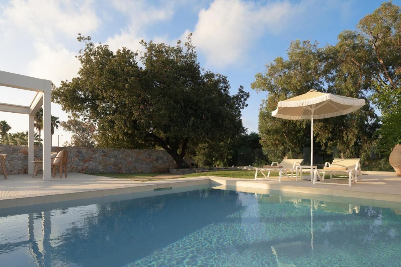 Pelagias Villa Lefka With Heated Pool Mathés エクステリア 写真
